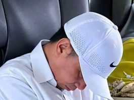 Ketika Ijazah Gibran Tak Ditemukan MK ada Luka Partai Politik Era Jokowi Berkuasa FOTO: Joko Widodo atau Jokowi. (Dok via Facebook)