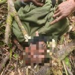 Dua Tentara OPM Tewas saat Baku Tembak Dengan TNI di Maybrat FOTO: Salah satu anggota TPNPB-OPM Kodap IV Sorong Raya tewas usai baku tembak dengan Satgas Rajawali V dan Satgas Pamtas Yonif 9 Marinir. (Dok TNI)