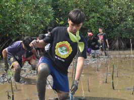 Untuk Pesisir Lestari, DPW LDII Sulsel Tanam Lebih dari 1000 Mangrove di Lantebung FOTO: DPW LDII Provinsi Sulawesi Selatan melaksanakan penanaman lebih dari 1.000 bibit mangrove di Taman Wisata Mangrove Lantebung, Makassar, Kamis (22/10/2026).