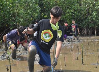 Untuk Pesisir Lestari, DPW LDII Sulsel Tanam Lebih dari 1000 Mangrove di Lantebung FOTO: DPW LDII Provinsi Sulawesi Selatan melaksanakan penanaman lebih dari 1.000 bibit mangrove di Taman Wisata Mangrove Lantebung, Makassar, Kamis (22/10/2026).