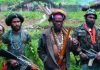 Dijuluki Raja Tega, “Duo Gibran” Komandan KKB Ditembak Mati Aparat FOTO: Anggota Kelompok Kriminal Bersenjata (KKB) di Wilayah Papua Pegunungan. (ist)