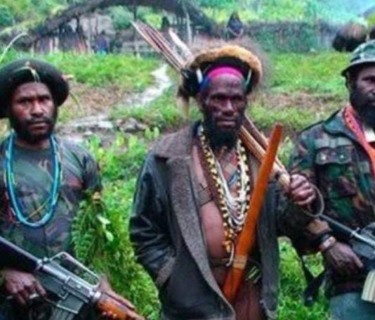 Dijuluki Raja Tega, “Duo Gibran” Komandan KKB Ditembak Mati Aparat FOTO: Anggota Kelompok Kriminal Bersenjata (KKB) di Wilayah Papua Pegunungan. (ist)