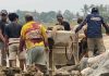 Tim Ekspedisi Patriot Unhas Tinjau Jalan untuk Dukung Produktivitas Warga Mahalona Luwu Timur FOTO: Tim Ekspedisi Patriot (TEP) Kawasan Transmigrasi Mahalona bersama Dinas Transmigrasi Kabupaten Luwu Timur meninjau proyek peningkatan jalan penghubung Satuan Permukiman 3 (SP3) dan Satuan Permukiman 1 (SP1) di Kawasan Transmigrasi Mahalona, Luwu Timur.